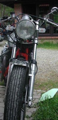 foto di chiarhonda 29 20090828 1034325387