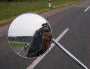 edersee 16 18 6 06 025