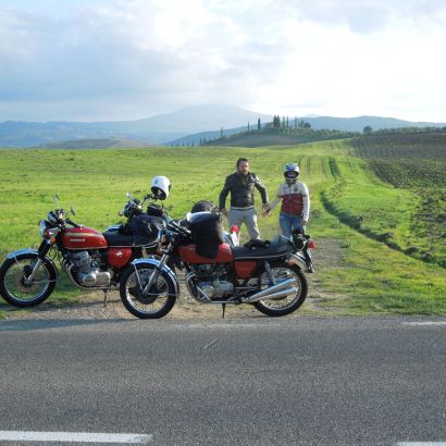 13  mollami