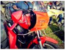 novegro 8 11 14 104