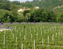 h4prosecco anto 08