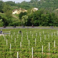 h4prosecco anto 08